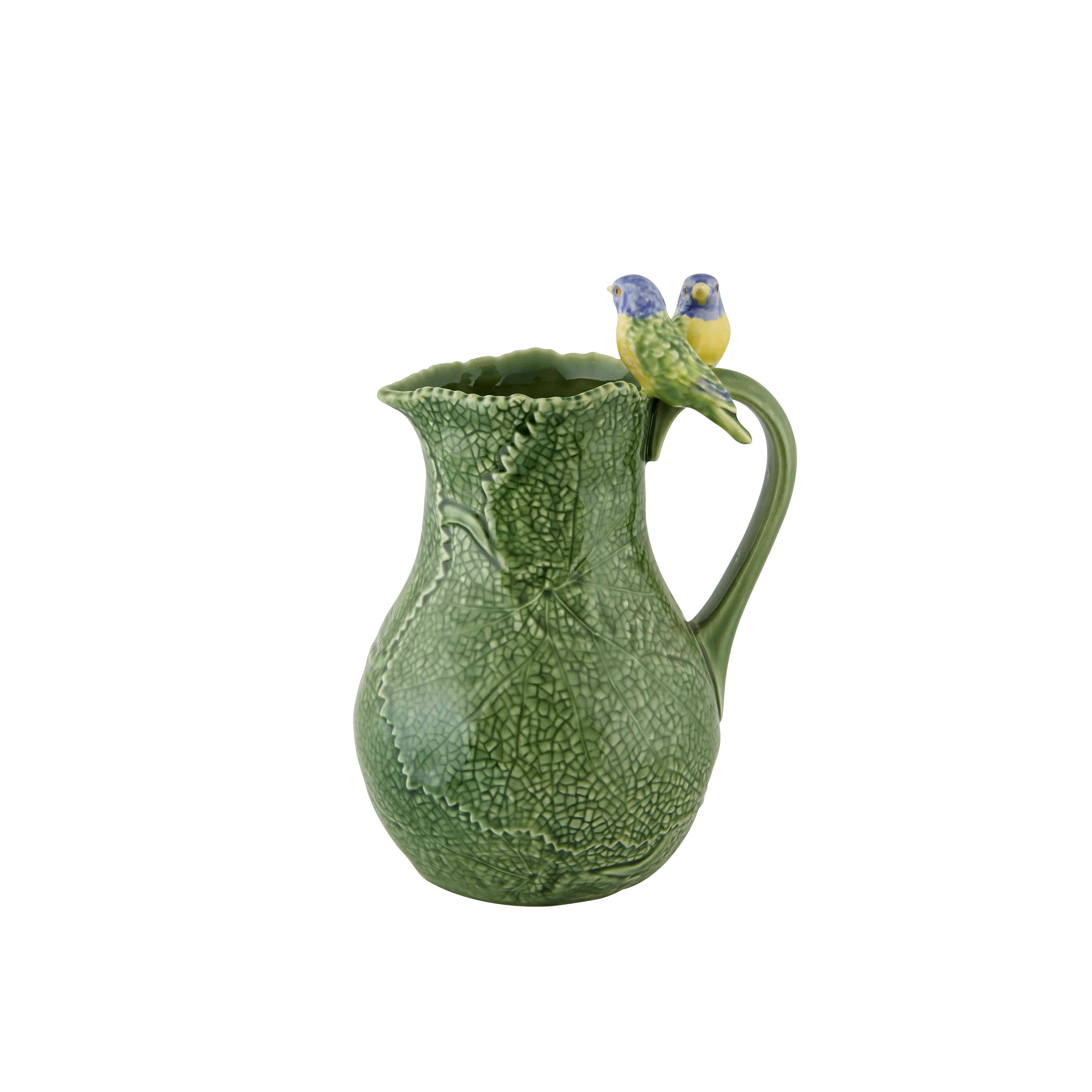 Cineraria Pitcher
