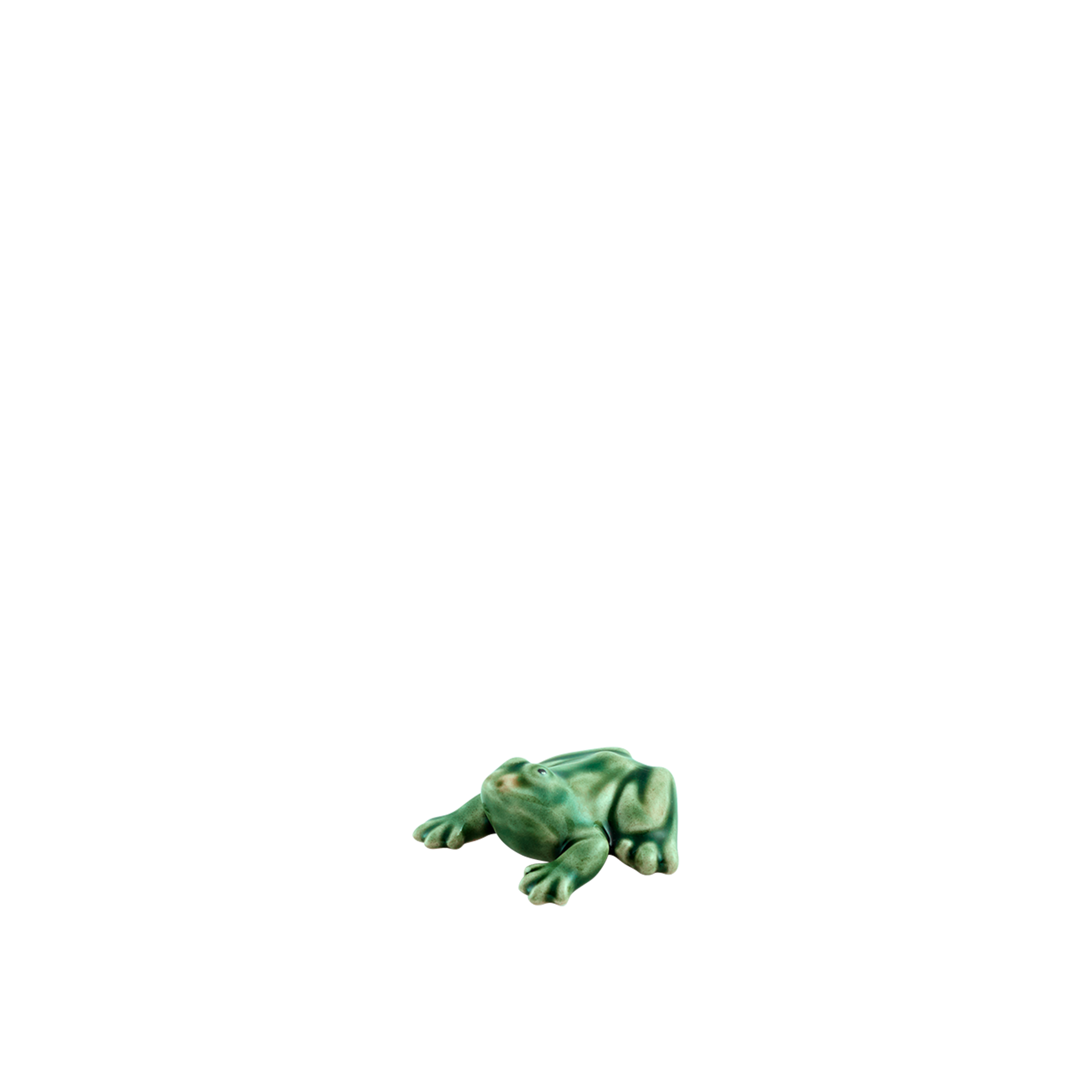 Miniature Frog