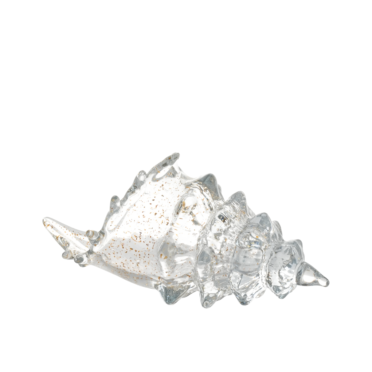 Bullicante Conch