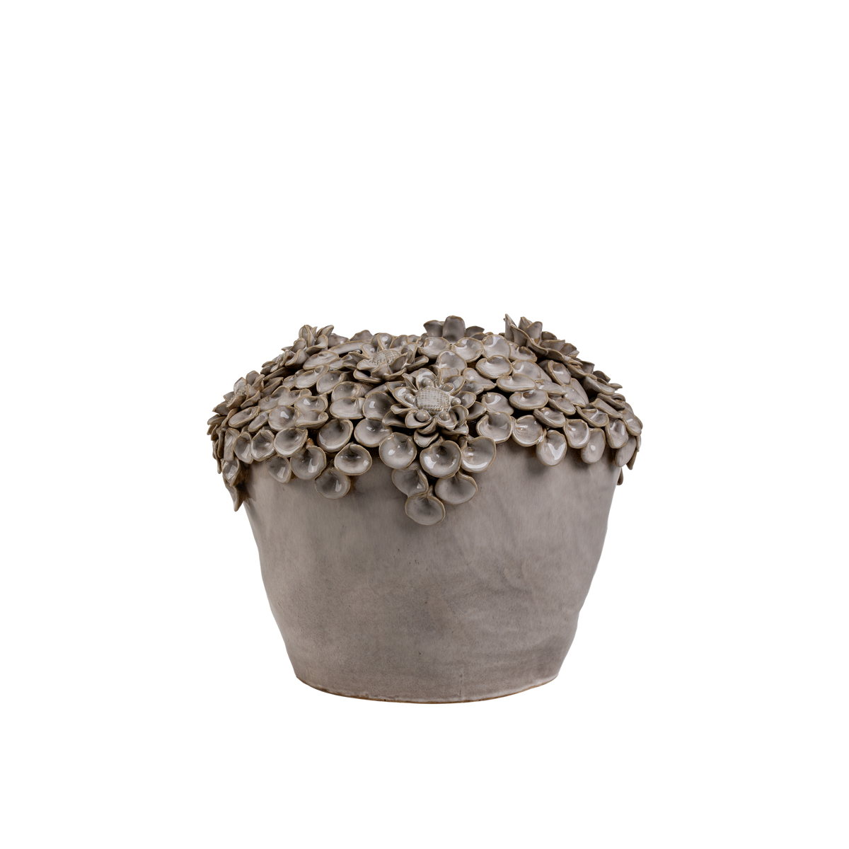 Coquille Vase Ivory H24 cm