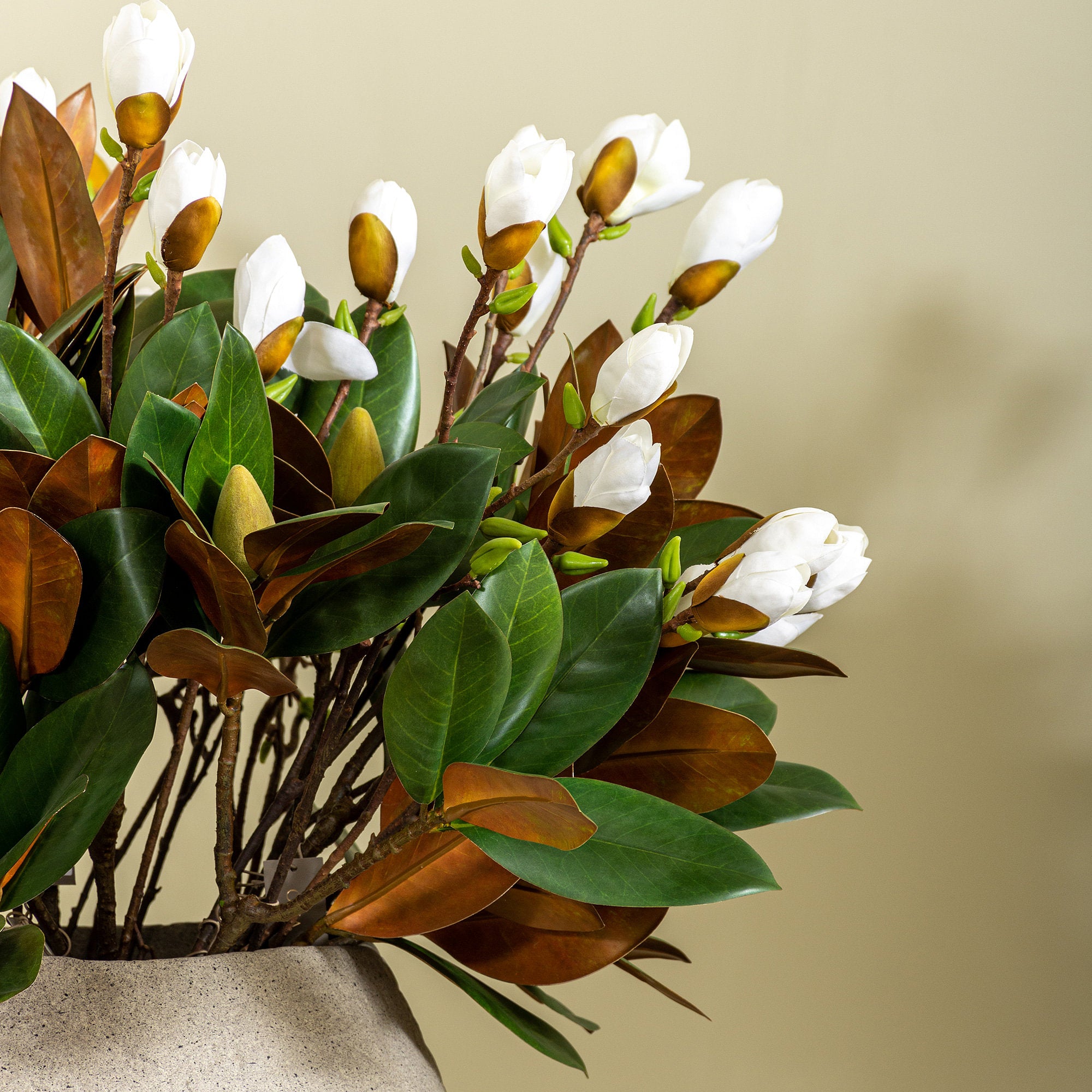 Magnolia Spray