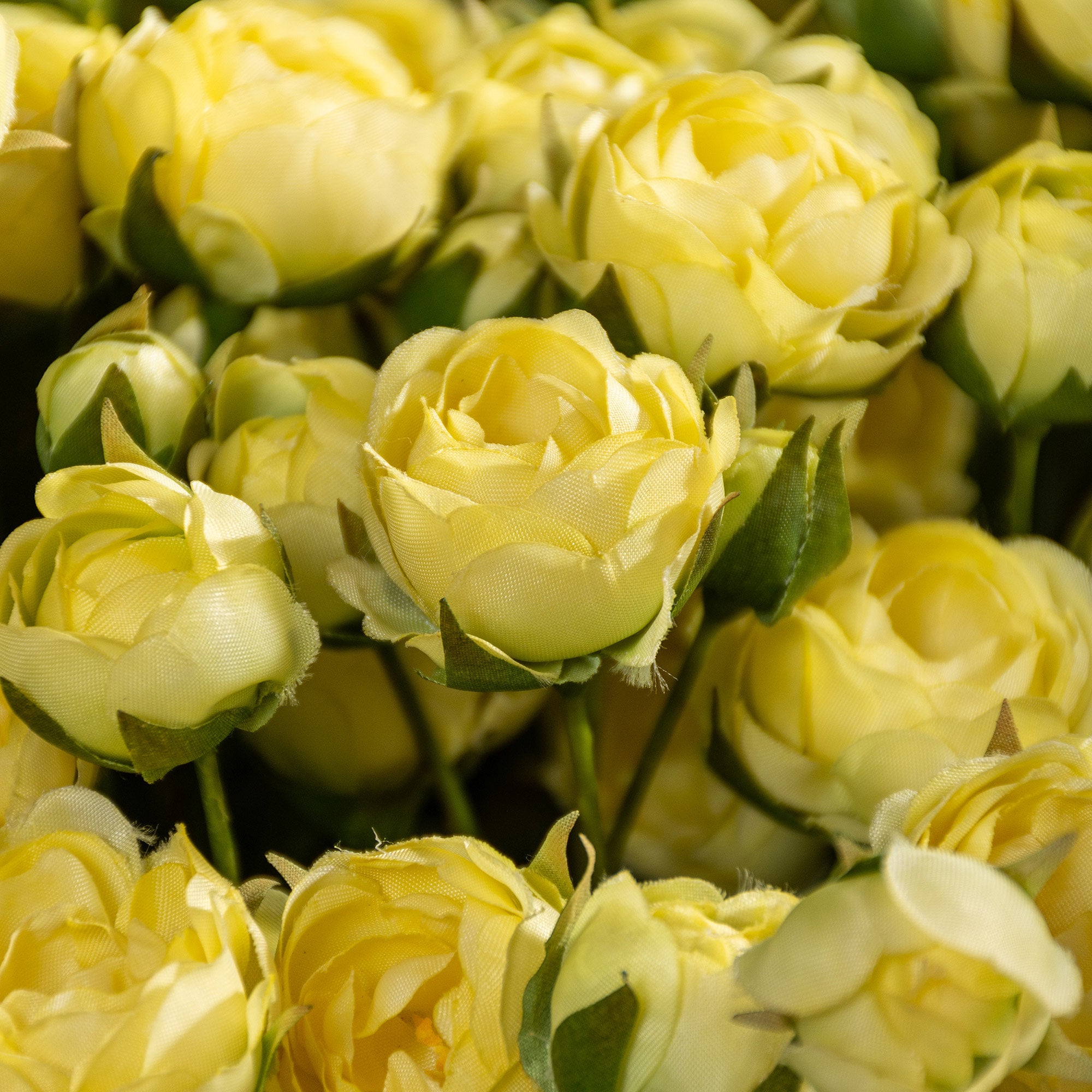Rose Spray
