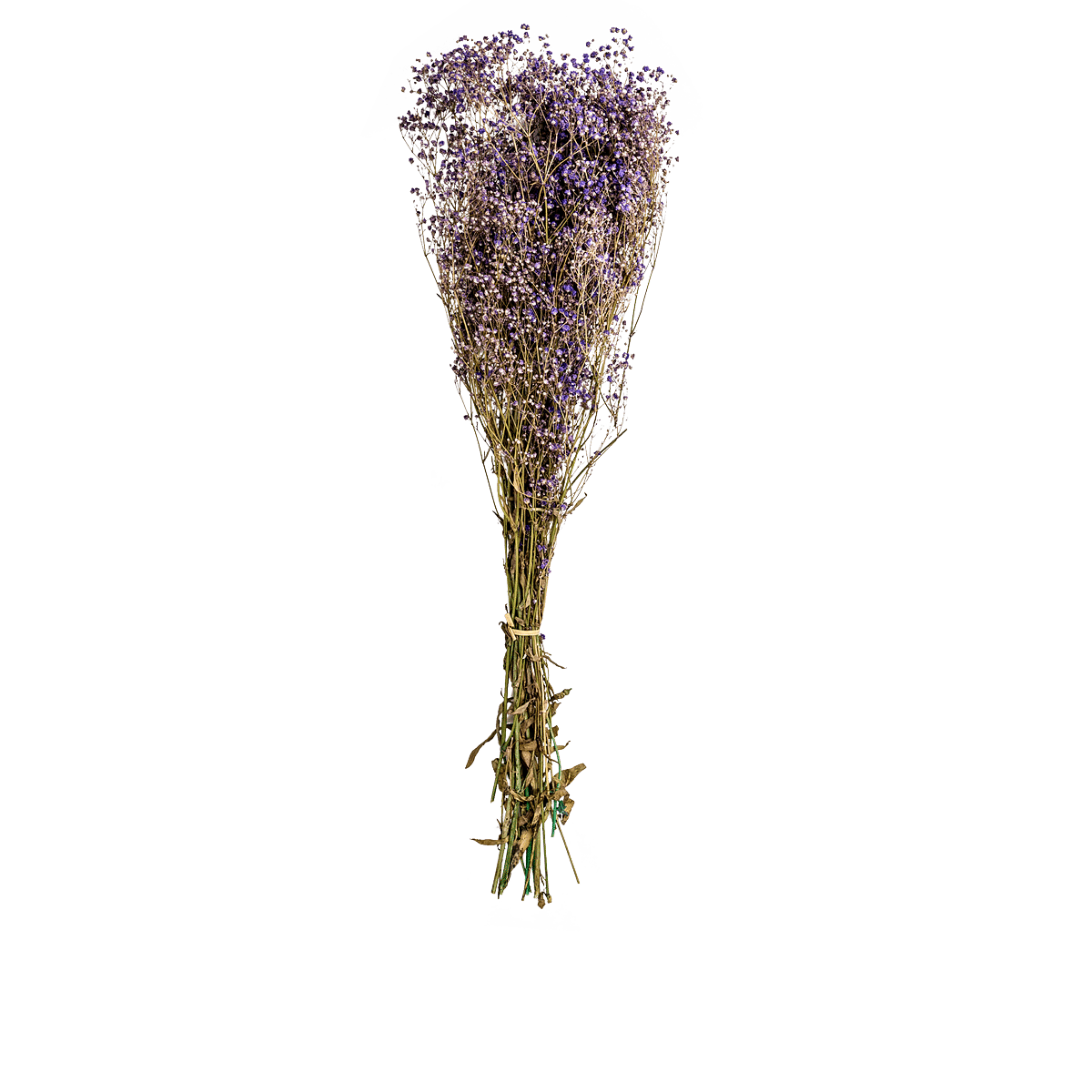 ri004124