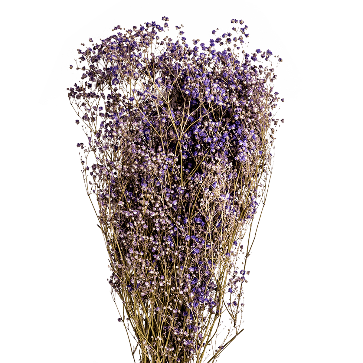 ri004124_1_1