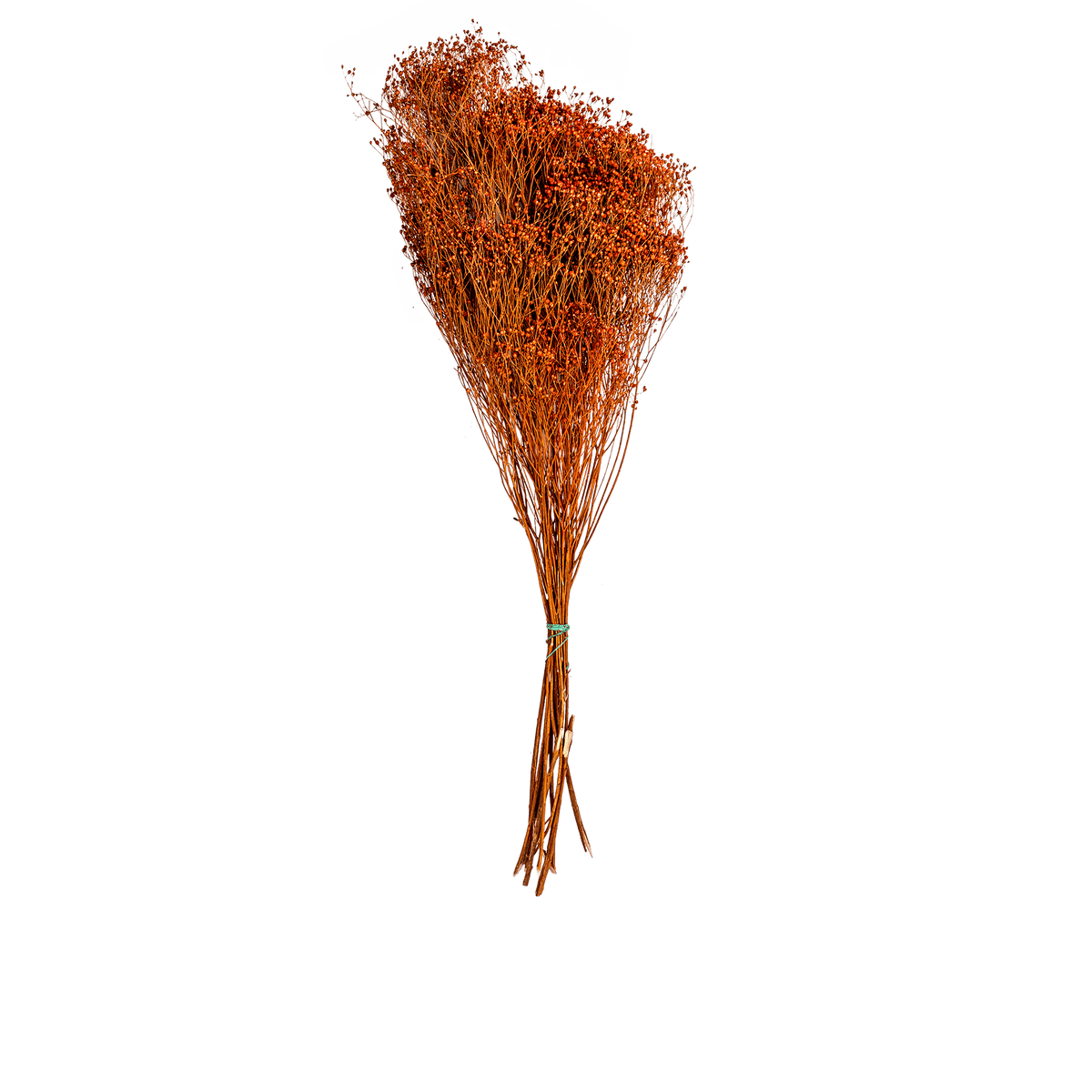 ri004140_1