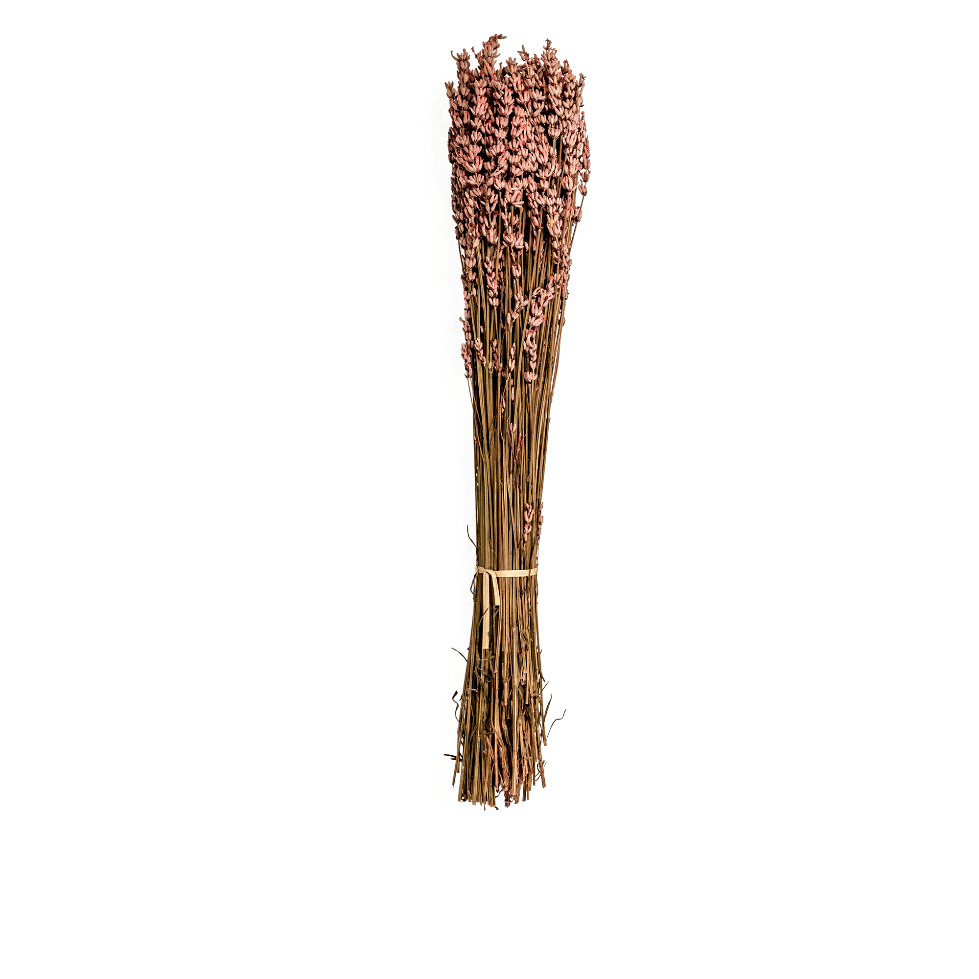 Lavander Dried Botanical