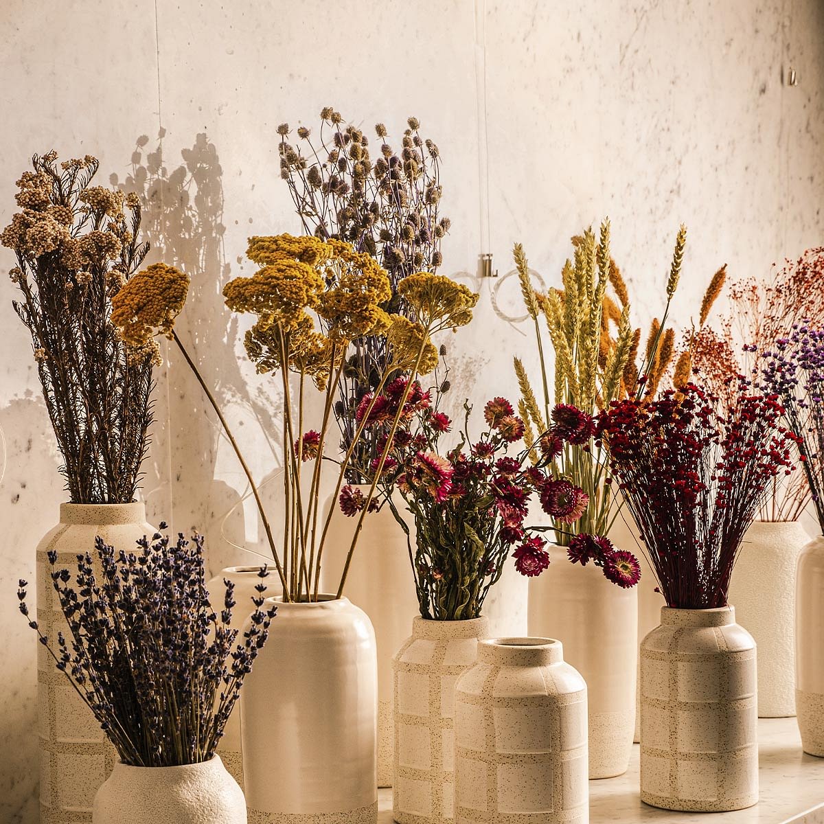 Lavander Dried Botanical