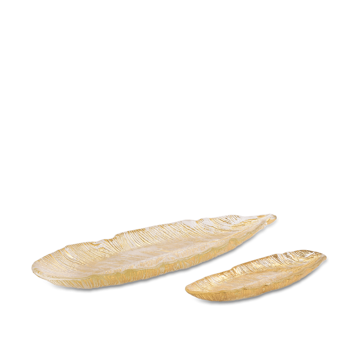 ri004236-p