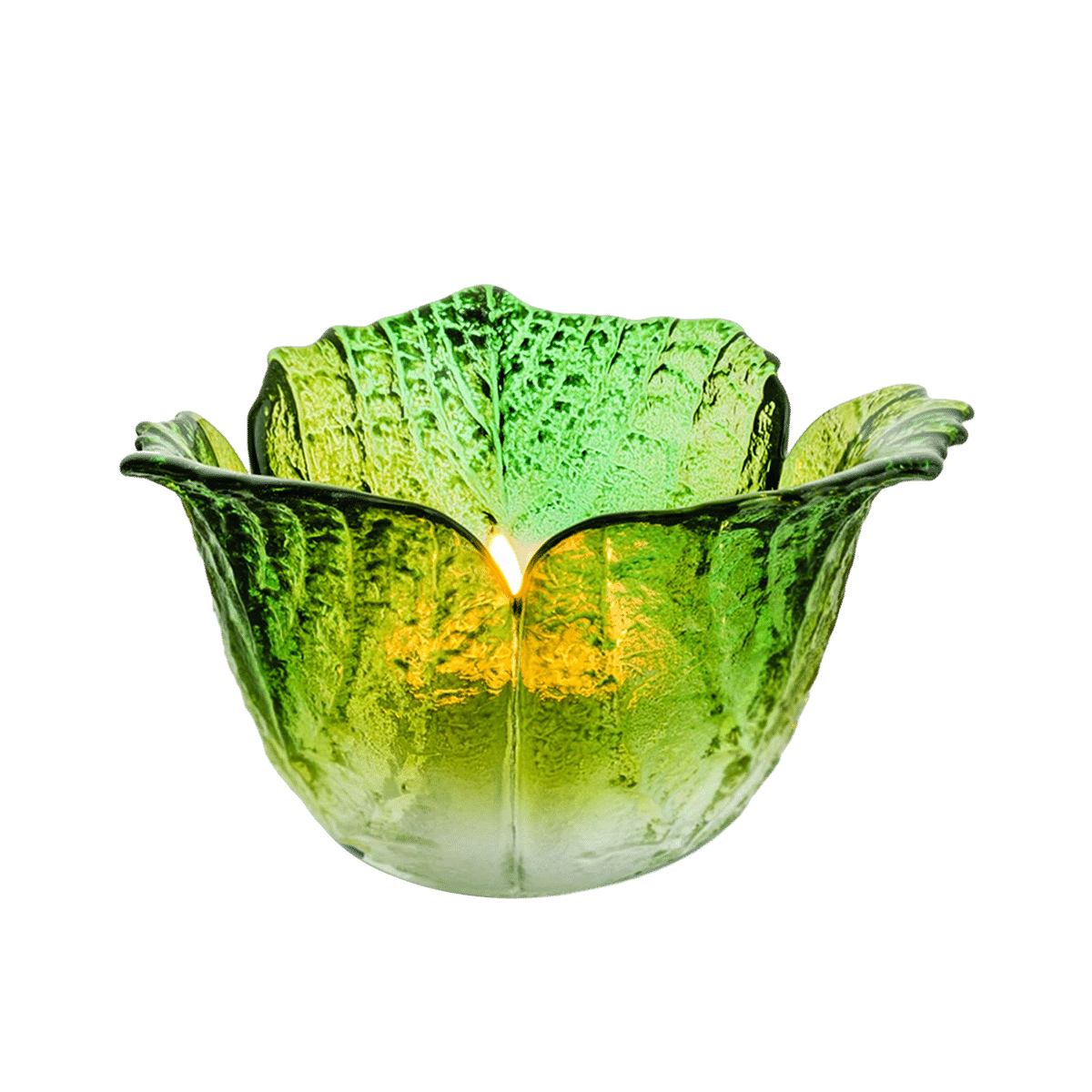 ri004924