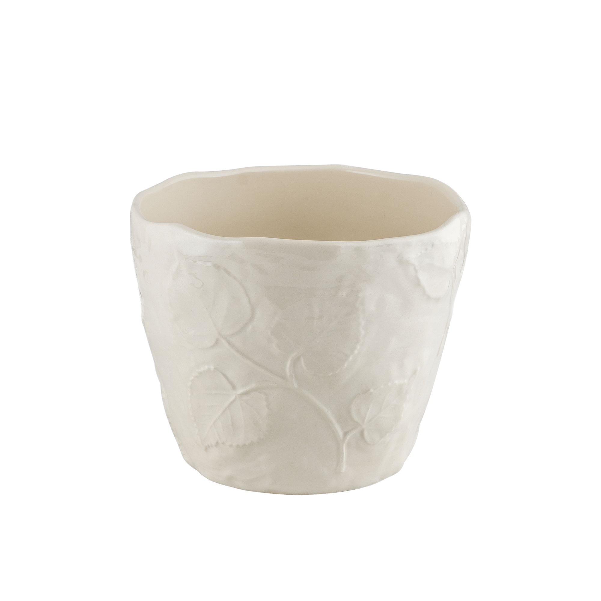 Botanical Indoor Planter Mint