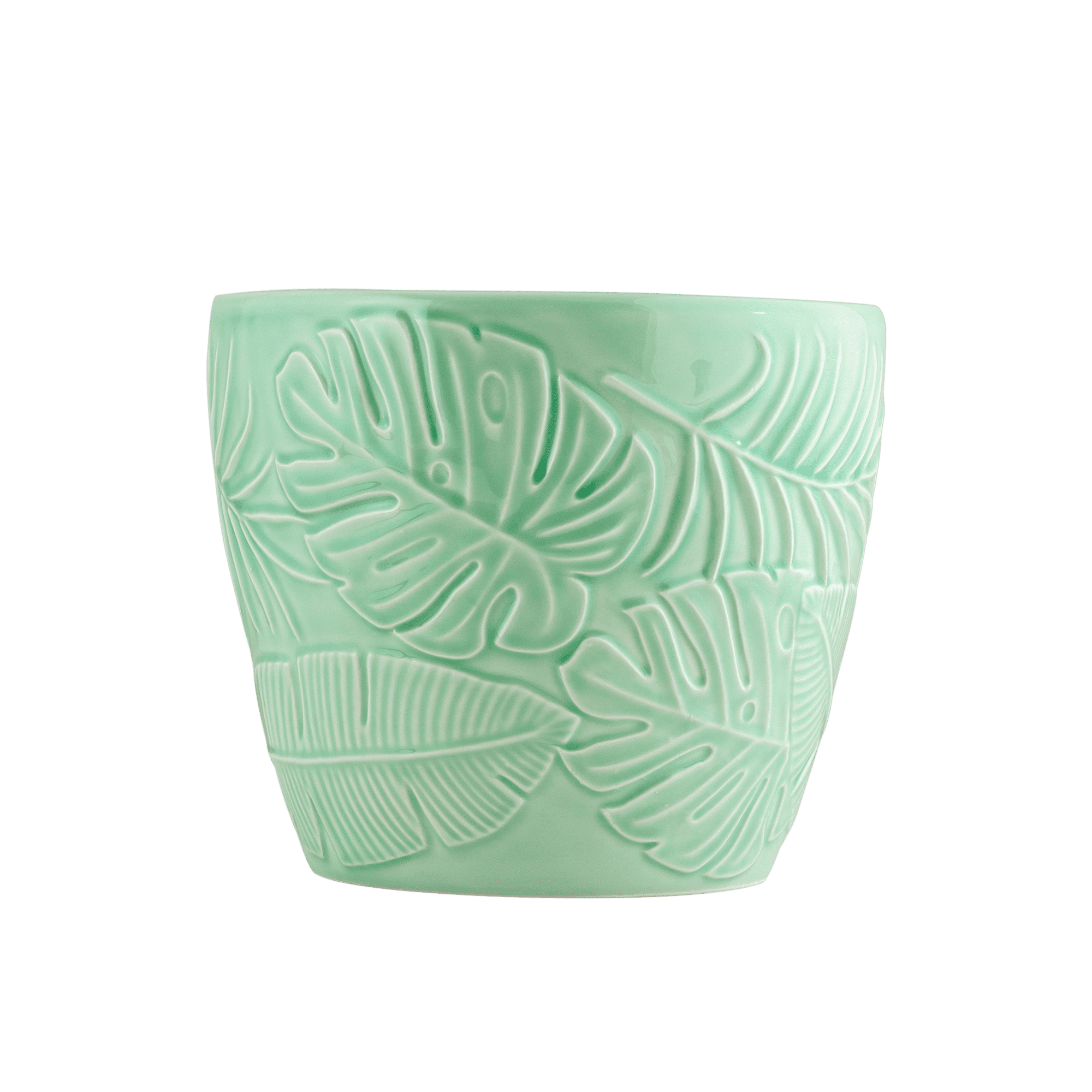 Botanical Indoor Planter Mint