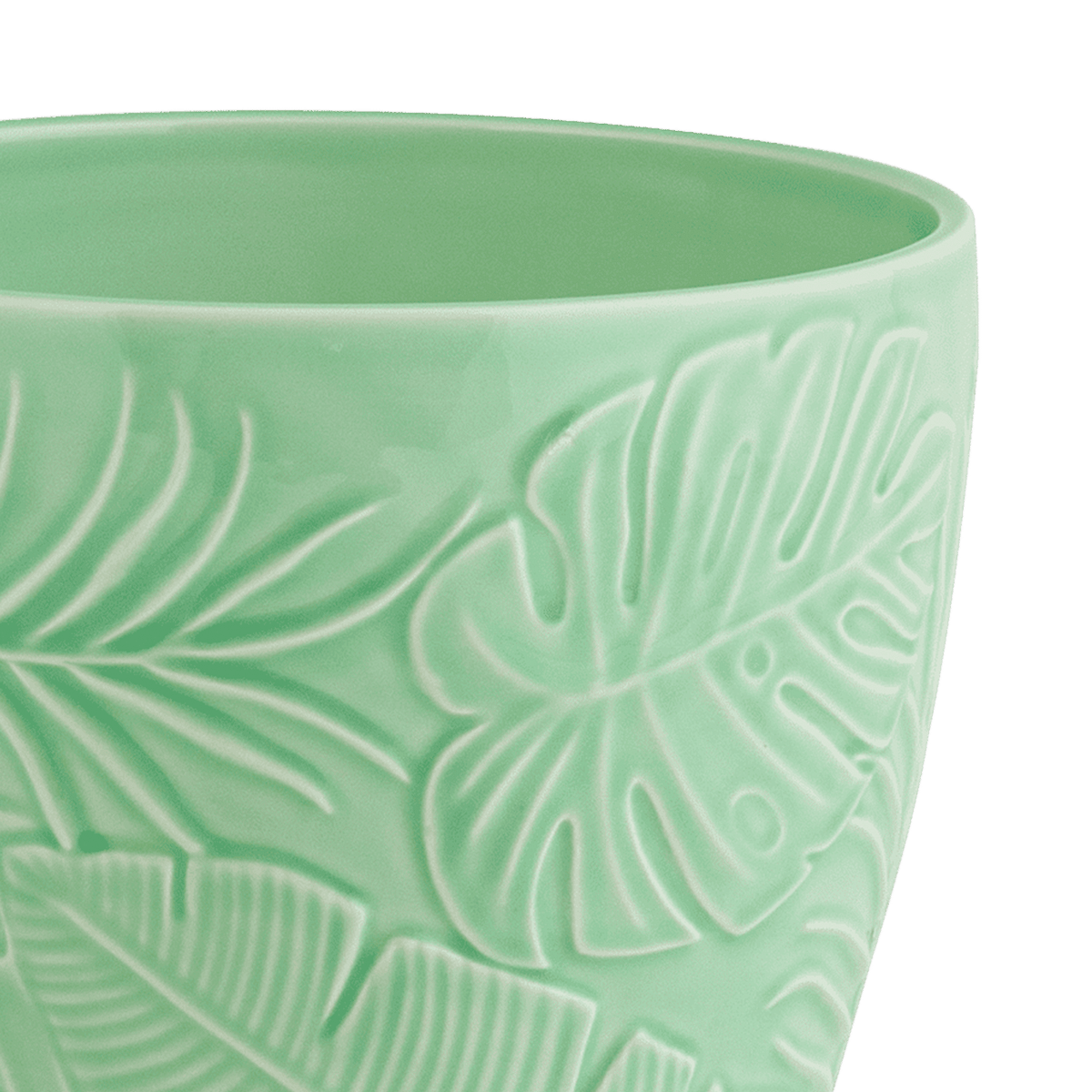 Botanical Indoor Planter Mint