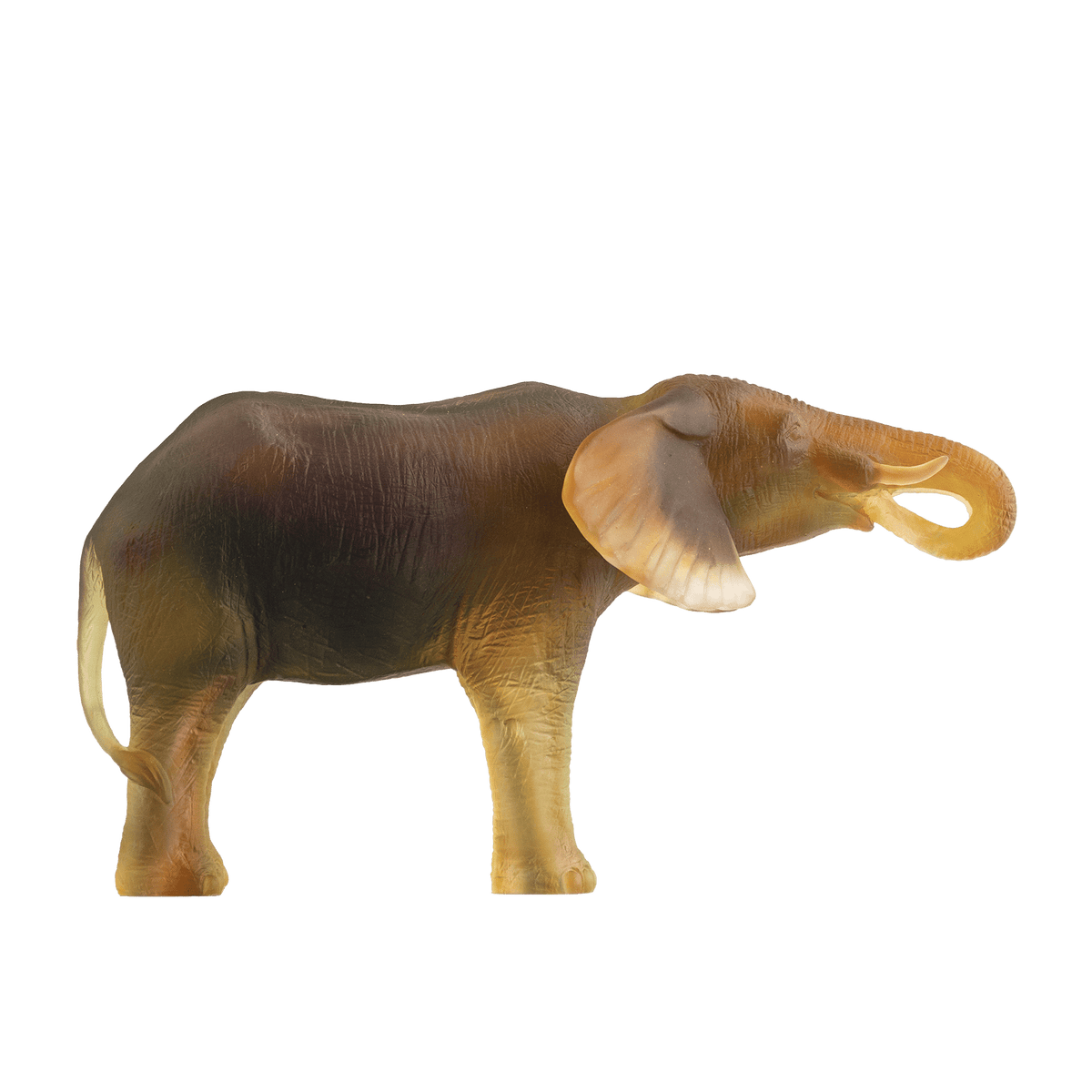 ri005606_1