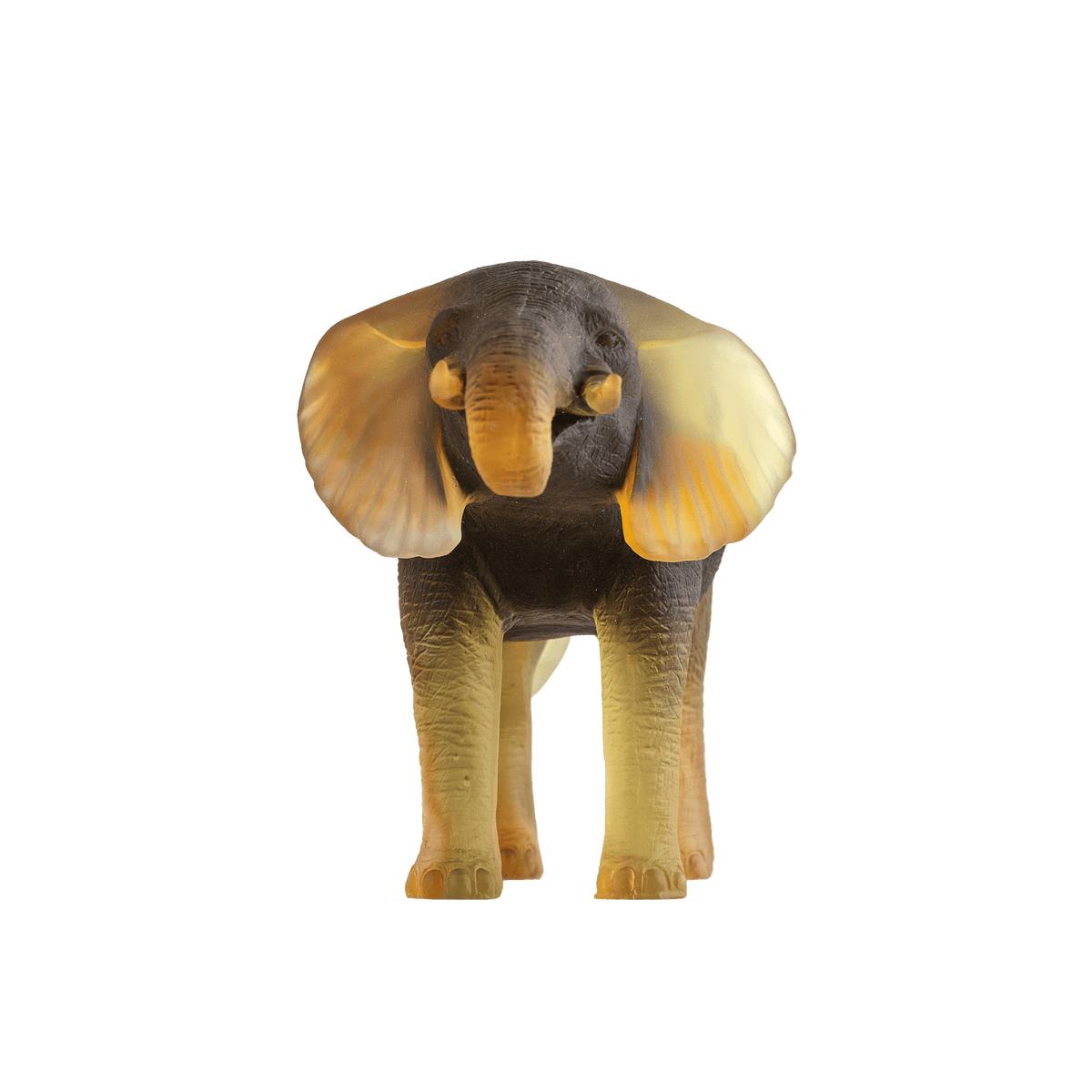 ri005606_2