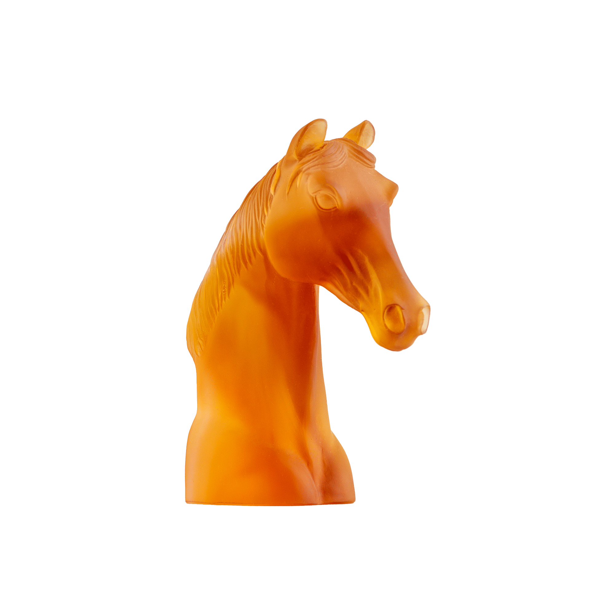 ri005616