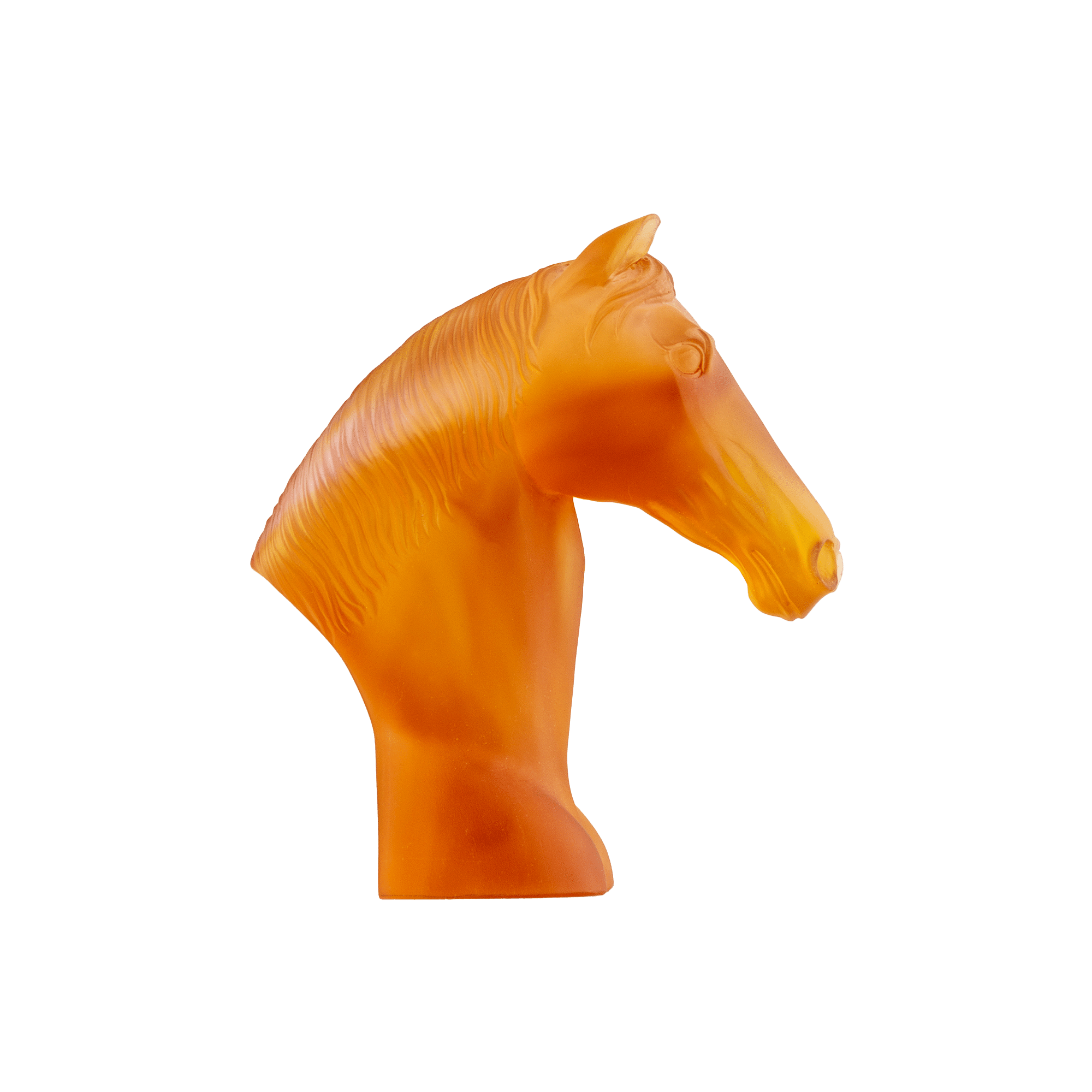 ri005616_1