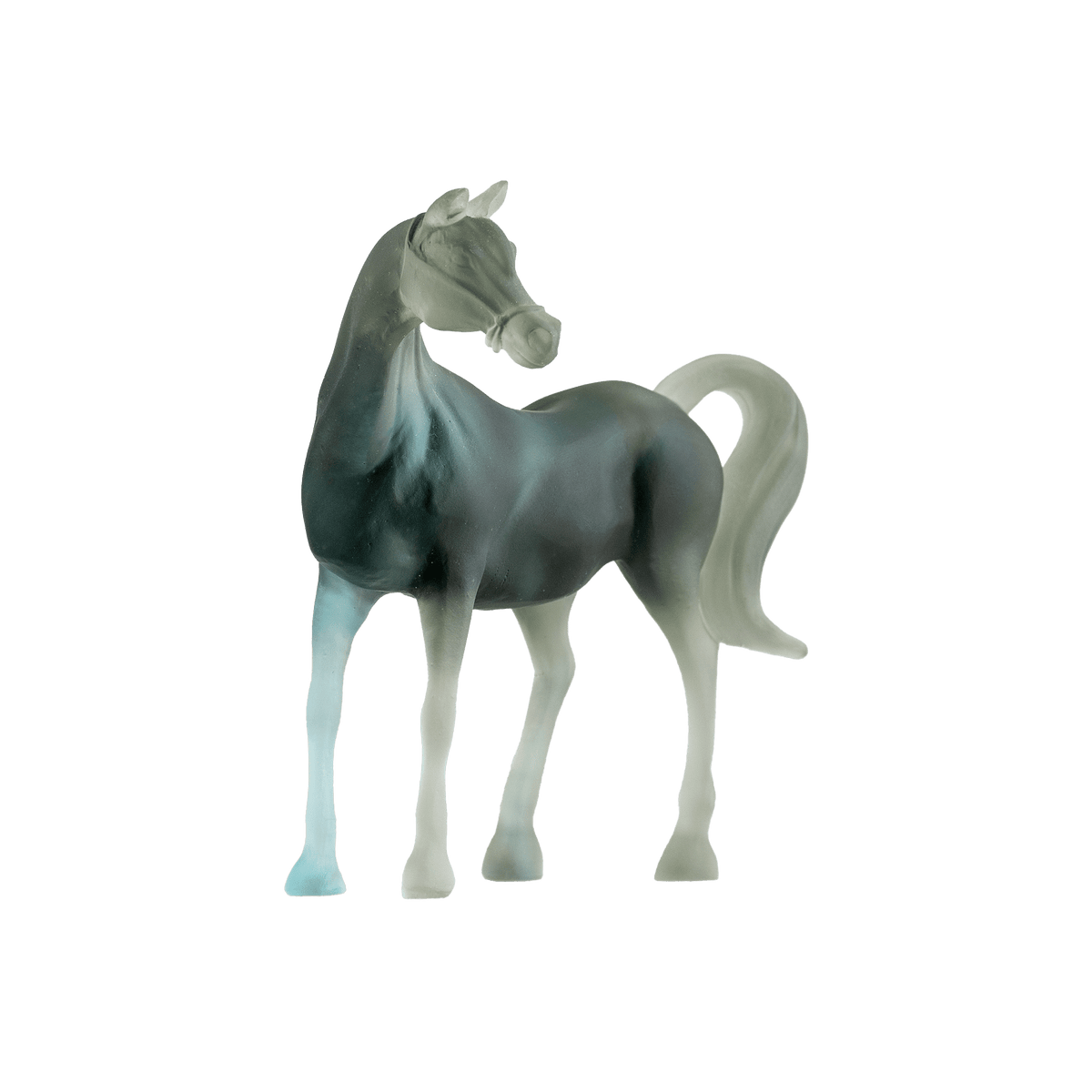 ri005618