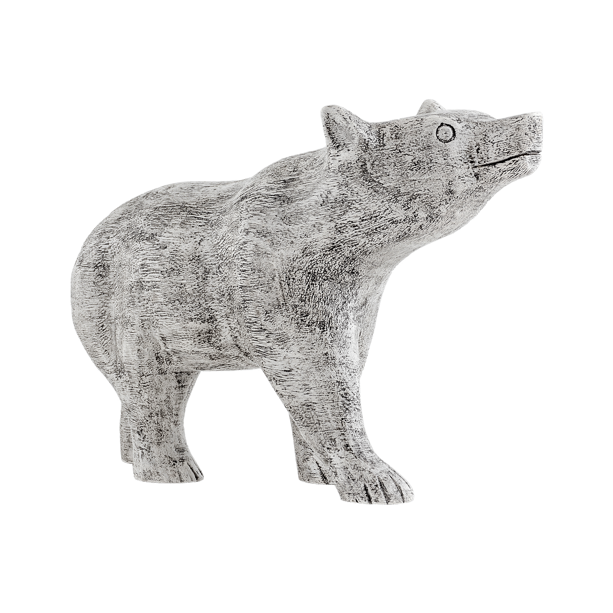 Asiatic Bear