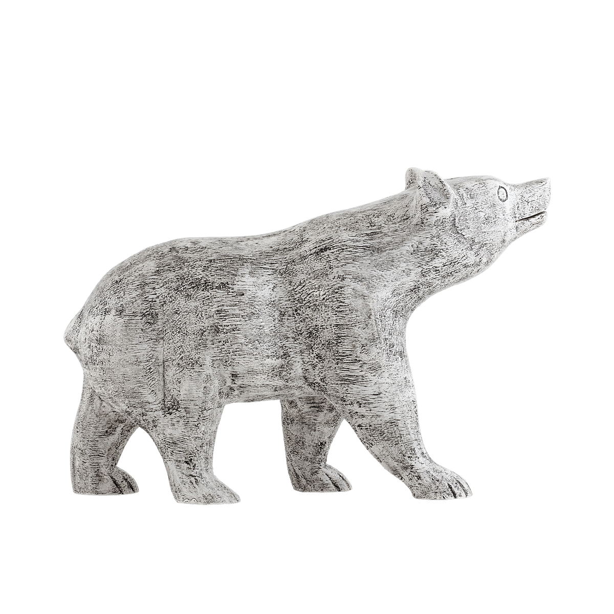 Asiatic Bear