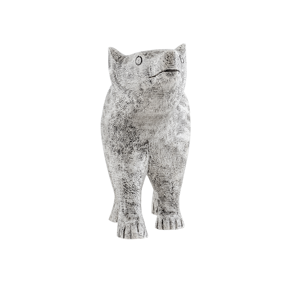 Asiatic Bear