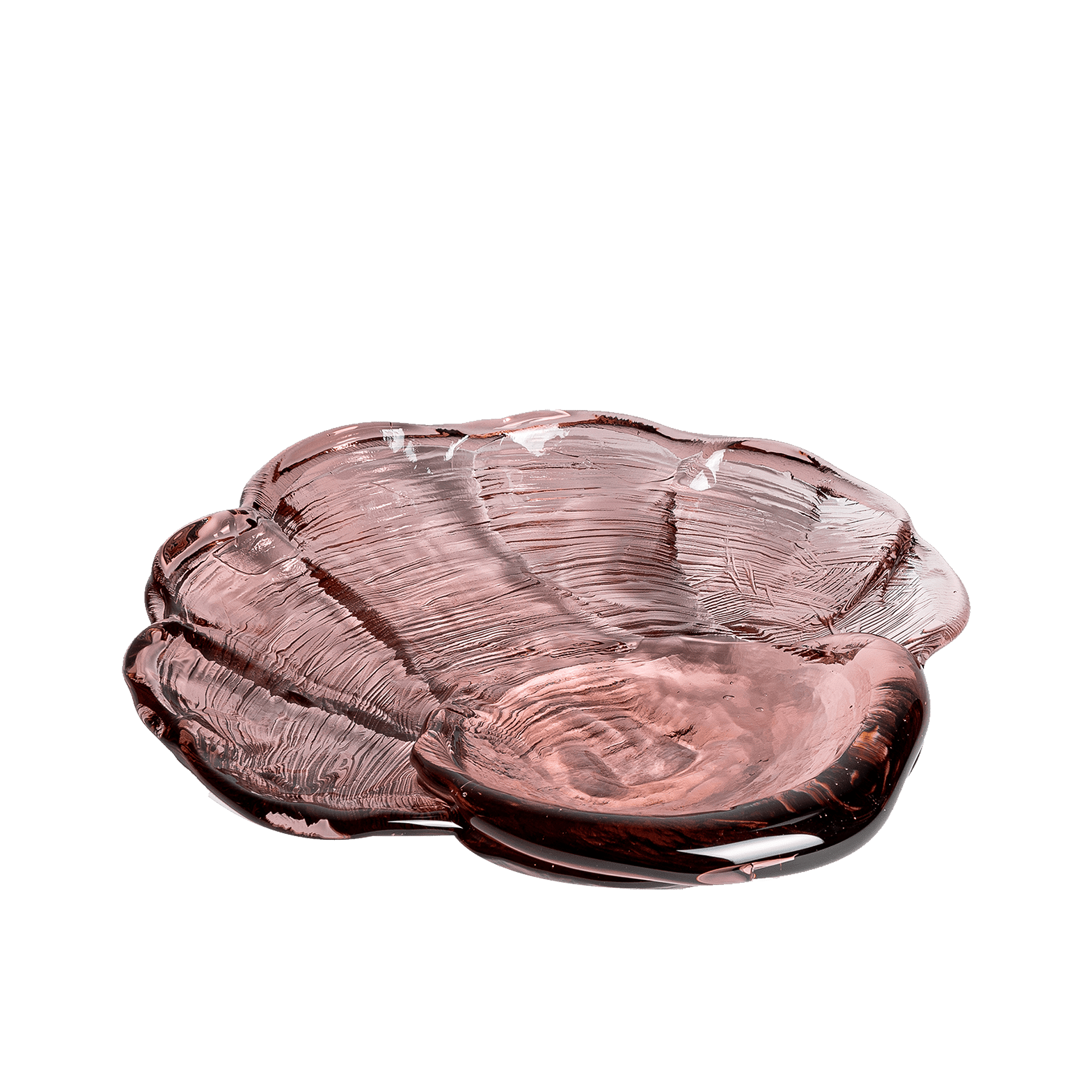 Venus Clam