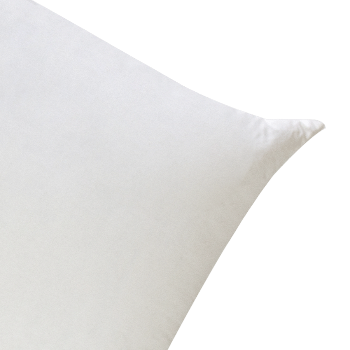 Polyfiler Rectangular Cushion Insert