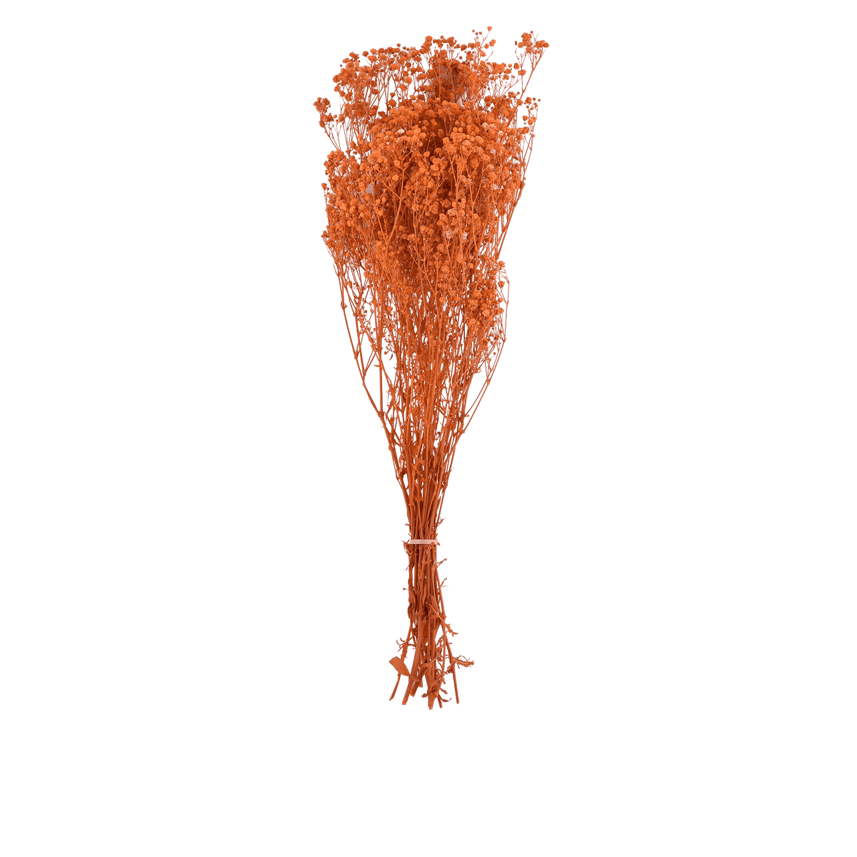 ri009540