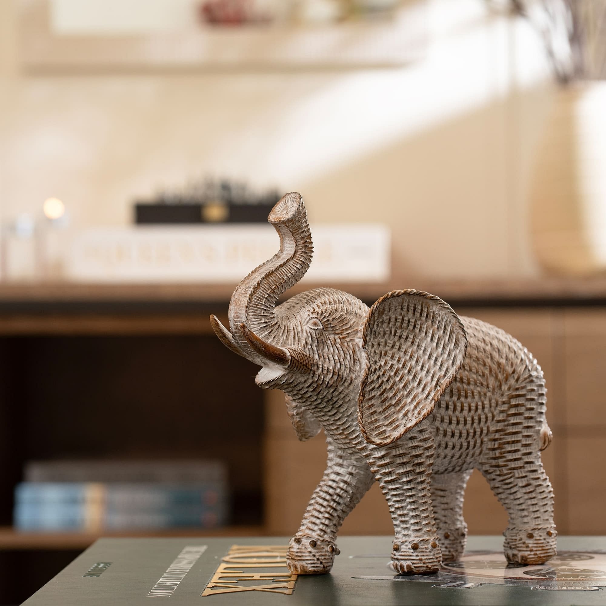 Tiere elephant brown