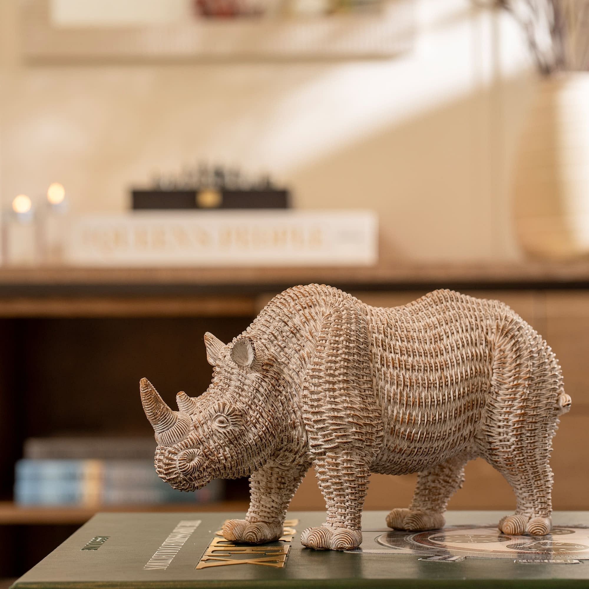 Tiere rhino brown