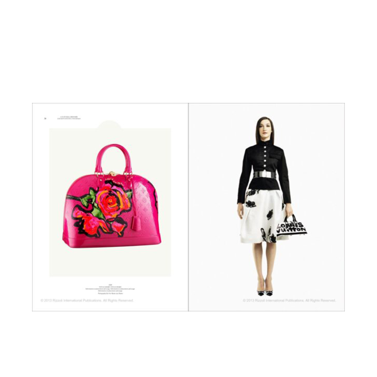 Coffee Table Book - Louis Vuitton City Bags: A Natural History